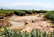 خسارت بارندگی به محصولات کشاورزی استان فارس