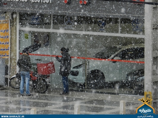 بارش نخستین برف زمستانی در شیراز آغاز شد + تصاویر