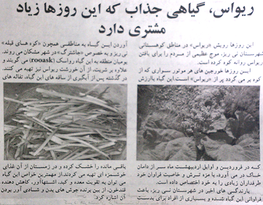 اقدام غیرحرفه‌ایِ حرفه‌ای ترین روزنامه فارس!
