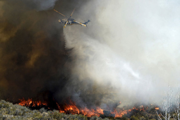 پارک ملی بمو برای هشتمین بار در آتش سوخت + عکس