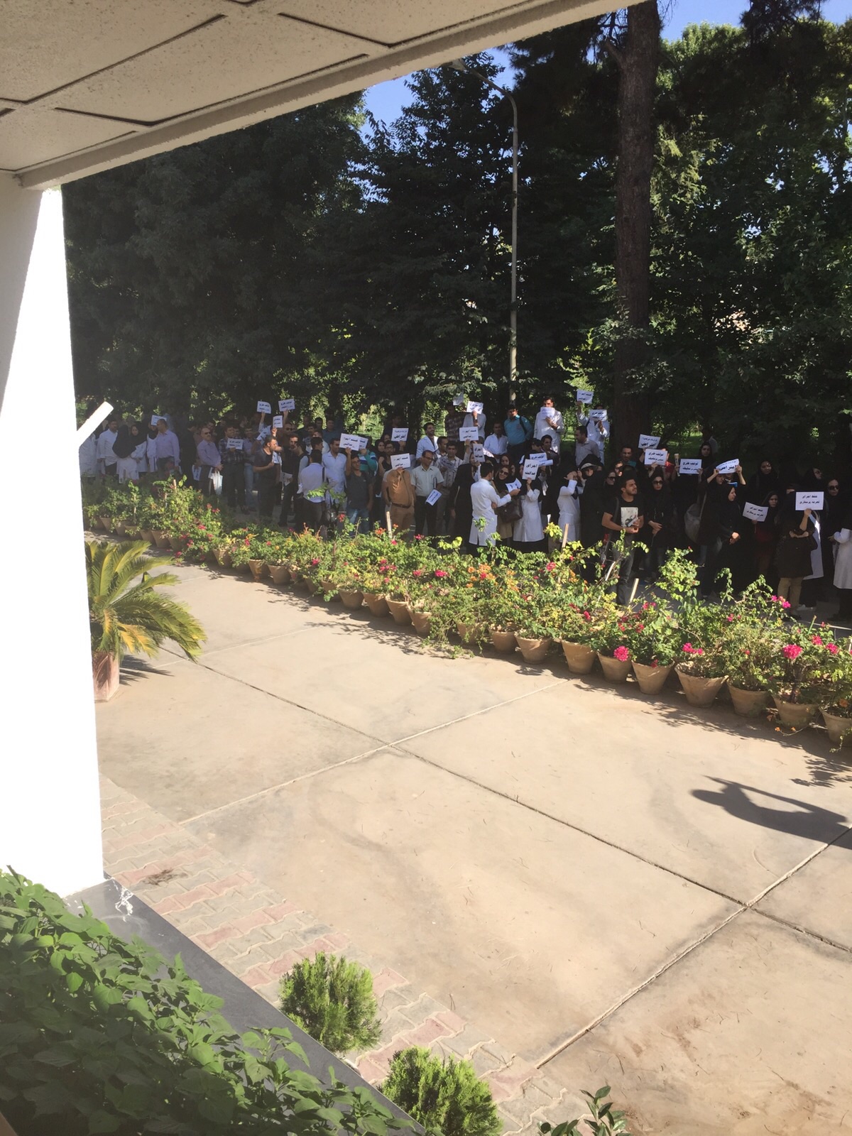 تجمع اعتراضی پرستاران شیرازی+ عکس و بیانیه
