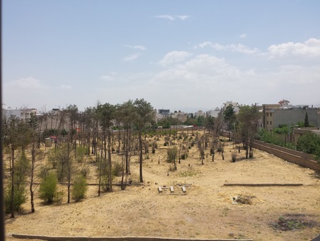 عکس: مرگ تدریجی باغ شهرداری شیراز