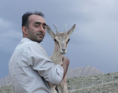شکارچیان اماراتی علاقمند شکار در فارس هستند/پرورش قوچ وحشی یک طرح بومی و دارای توان بالای درآمدزایی است