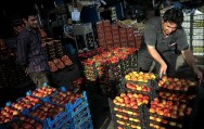محدودیتی به لحاظ میزان توزیع میوه شب عید  در فارس نداریم