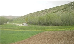 تشکیل 12 اکیپ گشت حفاظت و جلوگیری از تغییرکاربری اراضی باغی و زراعی در شهرهای فارس