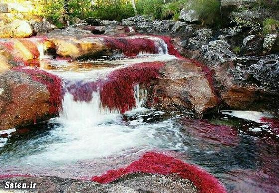 زیباترین و عجیب ترین رودخانه 5 رنگ جهان  + عکس