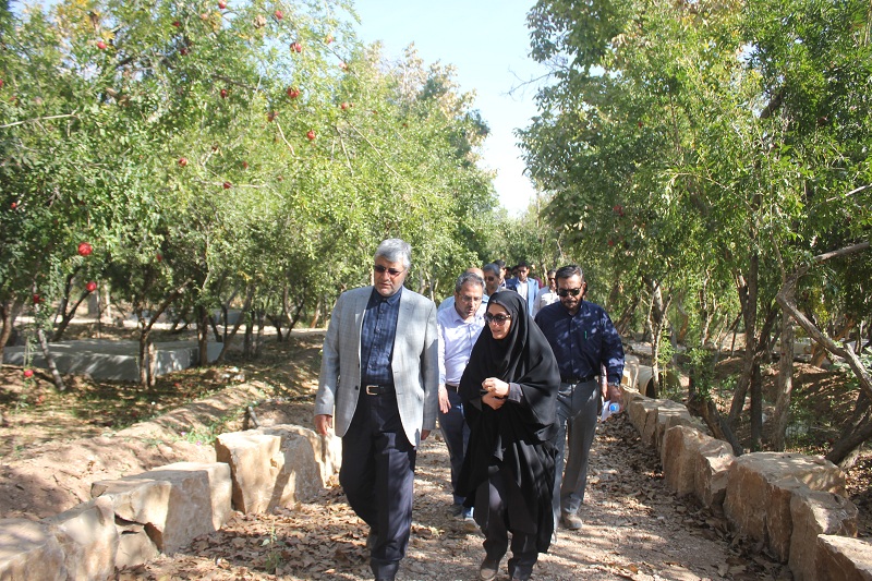 احداث پیاده راه سلامت در باغهای شیراز