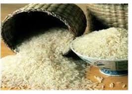 افزایش قیمت برنج، نتیجه عدم مدیریت صحیح مسئولان