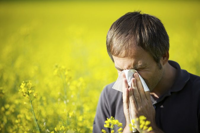 ۷ داروی طبیعی برای مقابله با آلرژی بهاره