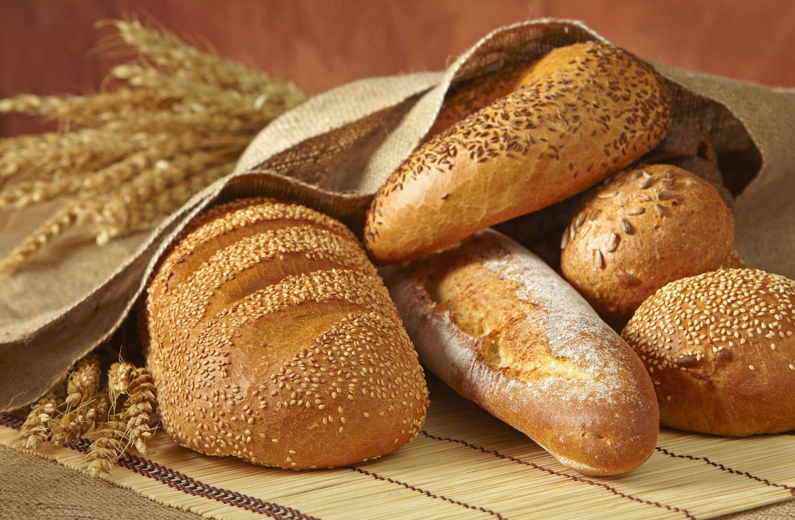 افزایش قیمت نان در راه است