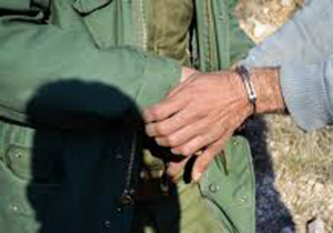 دستگیری شکارچی متخلف با دو شکار زنده