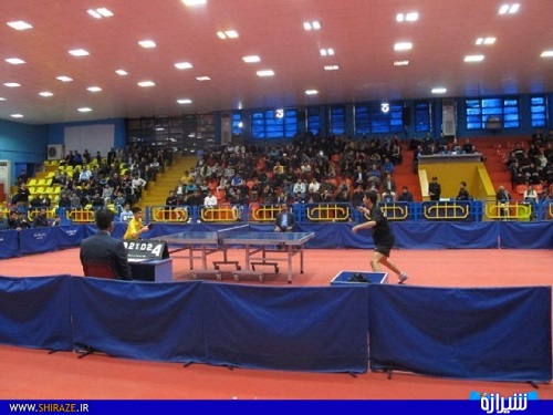 برگزاری مسابقات قهرمانی تنیس روی میز فارس+عکس
