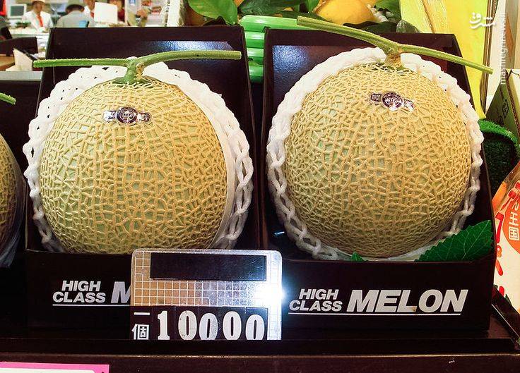 عکس/ گران ترین میوه جهان