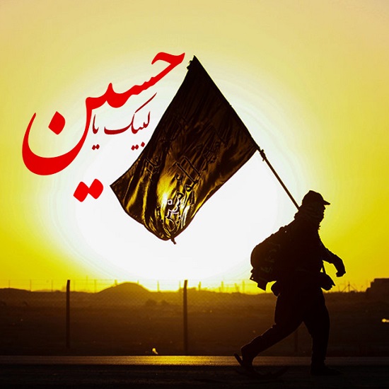صدور 19 هزار ویزای انفرادی اربعین در شیراز