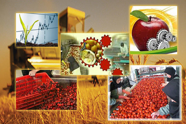 توسعه صنایع تبدیلی، لازمه بخش کشاورزی فارس