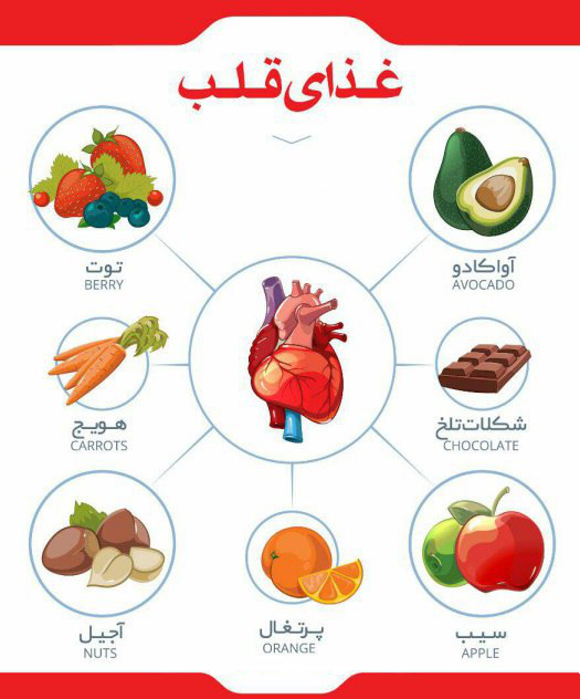 میوه های مفید برای قلب و عروق+اینفوگرافیک