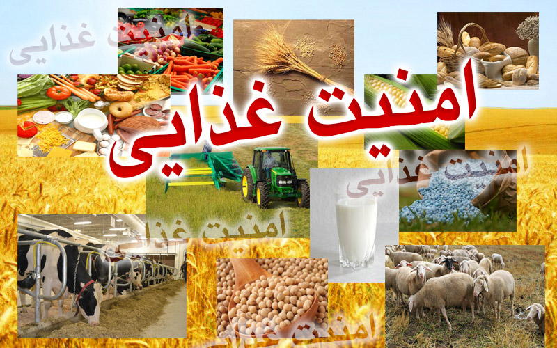 فارس رتبه دوم تامین امنیت غذایی کشور/ برنج باید ظرف مدت سه سال از الگوی کشت حذف شود
