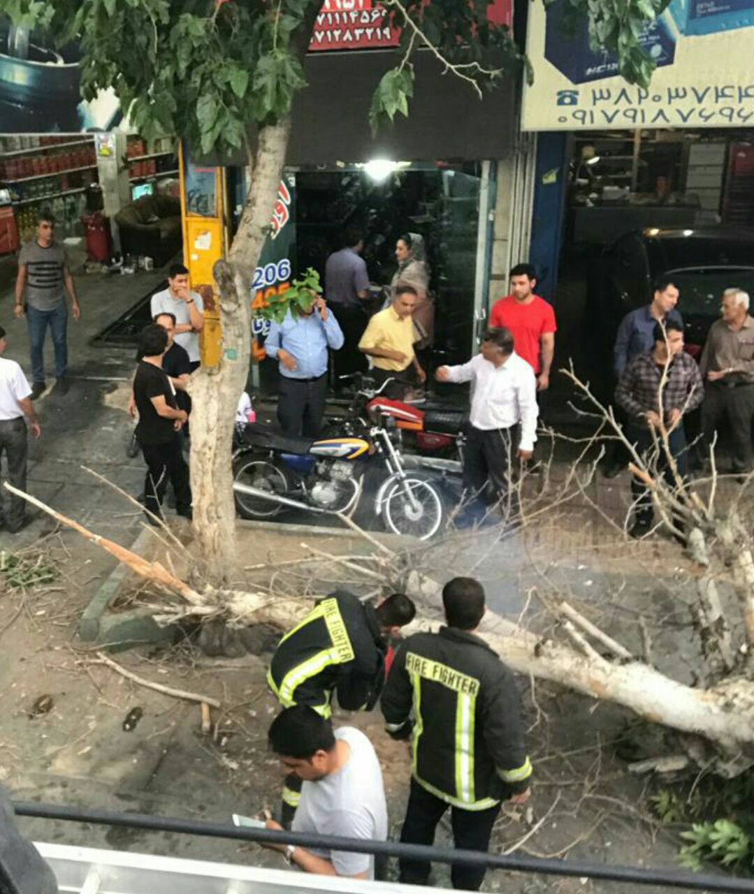 سقوط درخت بر روی خودرو سواری