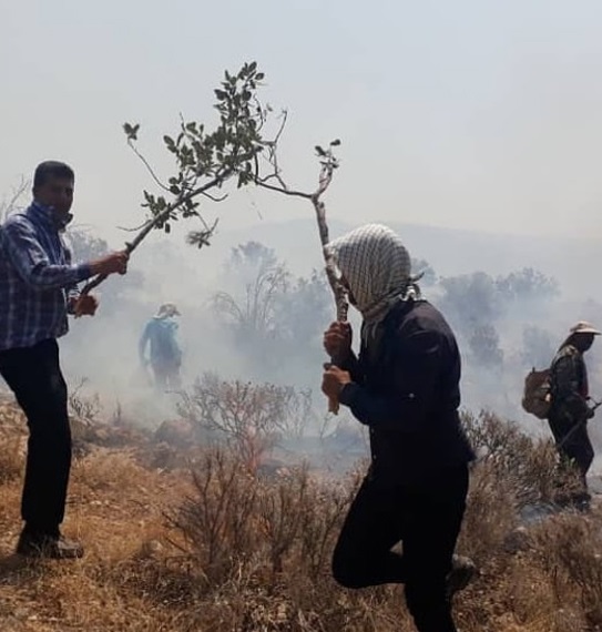 آتش سوزی جنگل در منطقه تنگ خون جره و بالاده مهار شد/ پایان عملیات اطفاءحریق در این منطقه