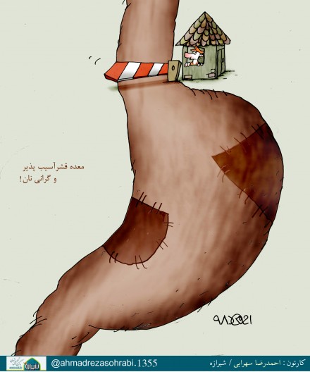 کاریکاتور شیرازه/ معده قشرآسیب پذیر و گرانی نان