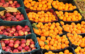 هیچ مشکلی در توزیع میوه‌ تنظیم بازار در استان فارس وجود ندارد.