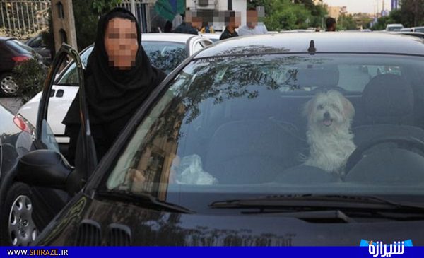 برخورد با سگ گردانی مطالبه عمومی مردم از پلیس فارس
