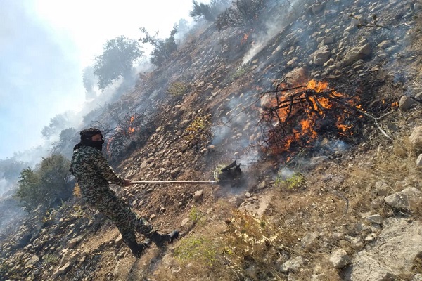 نیروهای بسیجی، در خط مقدم مبارزه با شعله های آتش در مراتع و کوهستان های فارس