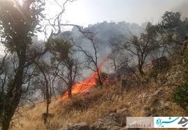 مهار آتش سوزی در ارتفاعات پارک ملی «بمو»شیراز