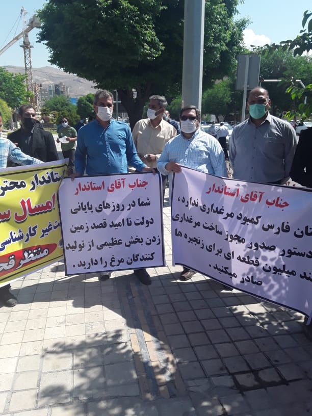 تجمع اعتراض آمیز تولید کنندگان مرغ مقابل استانداری فارس+ عکس و فیلم