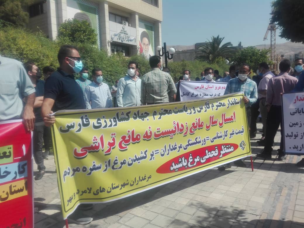 تجمع اعتراض آمیز تولید کنندگان مرغ مقابل استانداری فارس+ عکس و فیلم