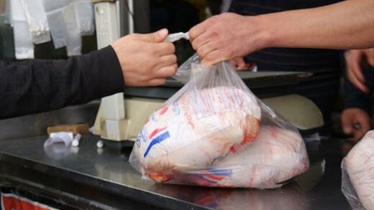 ۱۱۹پرونده تخلف عرضه مرغ در شیراز تشکیل شد