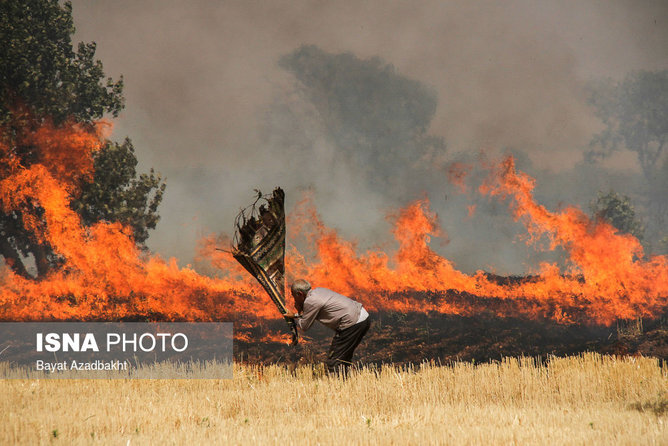 عکس منتخب سال - ۲۲ خرداد - وقوع آتش‌سوزی در مزارع و مراتع کوهدشت