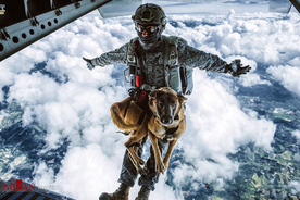 پرواز سگ‌های جنگی از ارتفاع ۴۳۰۰ متری