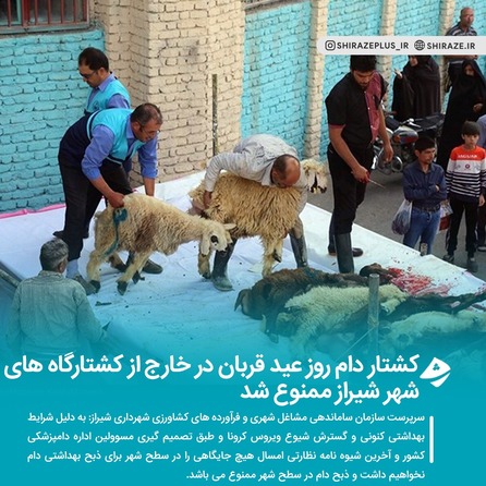 کشتار دام روز عید قربان در خارج از کشتارگاه های شهر شیراز ممنوع شد