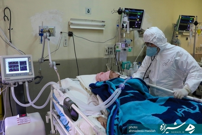 روایت تصویر عشق در بیمارستان‌های شیراز -(عکس: احمدرضا مداح)