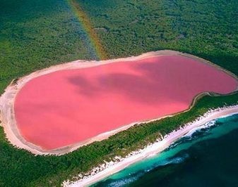  دریاچه صورتی در استرالیا:
در قلب استرالیا دریاچه ای قرار دارد که رنگ آن کاملا صورتی ست. این دریاچه صورتی این روزها به یکی از عجیب ترین نقاط زمین تبدیل شده است و دانشمندان علت رنگ آن را وجود نوع خاصی جلبک در کف دریاچه می دانند.