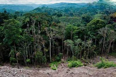 جنگل های گرمسیری کنگو
طبق گزارش سازمان ملل، دو سوم جنگل ها و گیاهان و حیات وحش منحصر به فرد این منطقه تا سال 2040 از بین خواهد رفت. در حال حاضر 10 میلیون هکتار از جنگل های کنگو در معرض خطر است که هر سال به خاطر برداشت از معادن، قطع بی رویه درختان، کشاورزی، دامداری و جنگ های قومی و قبیله ای مقداری از آنها نابود می شود.
www.irannaz.info/ مکانی که پیش از نابودی باید ببینید,جنگل های گرمسیری کنگو
 
- دومین جنگل بارانی بزرگ جهان بعد از آمازون با 3.4 میلیون کیلومتر مکعب وسعت
- تهدید: جنگل های گرمسیری در حال نابودی
- فرصت باقی: کمتر از 25 سال
- دلیل: برداشت از معادن قطع غیرقانونی درختان، کشاورزی، دامدای، جنگل داخلی
- جنگل های گرمسیری در هفت کشور آفریقایی کشیده شده است
هر سال 10 میلیون هکتار از جنگل ها آسیب می بینند
هفت کشور: برونئی، رواندا، آنگولا، کامرون، جمهوری آفریقای مرکزی، جمهوری دموکراتیک کنگو و جمهوری کنگو
جنگل های بارانی گرمسیری بیش از 40 درصد اکسیژن زمین را تولید می کنند
دو سوم جنگل های گرمسیری منطقه کنگو تا سال 2040 از بین می روند 