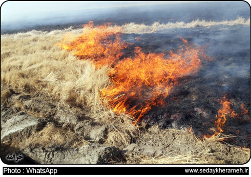 چهار هکتار از تالاب کمجان شهرستان خرامه در آتش سوخت