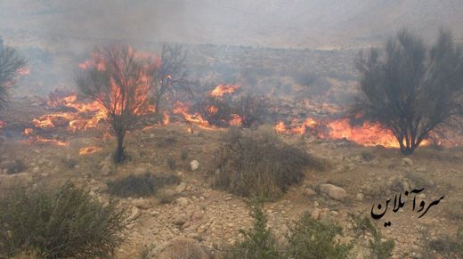 تکرار آتش سوزی در جنگل ها و مراتع سروستان