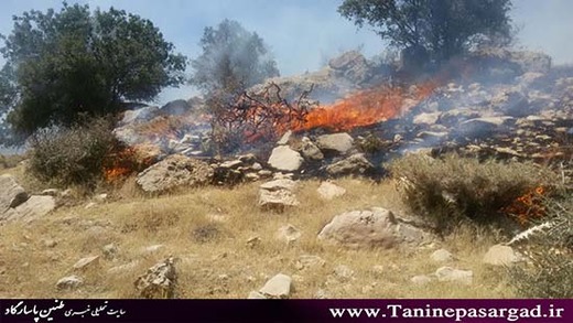 ده‌ها هکتار از جنگل‌ها و مراتع پاسارگاد در آتش سوخت