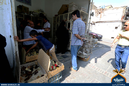 بازار پرنده فروشان شیراز