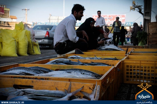 بازار ماهی فروشان در شیراز