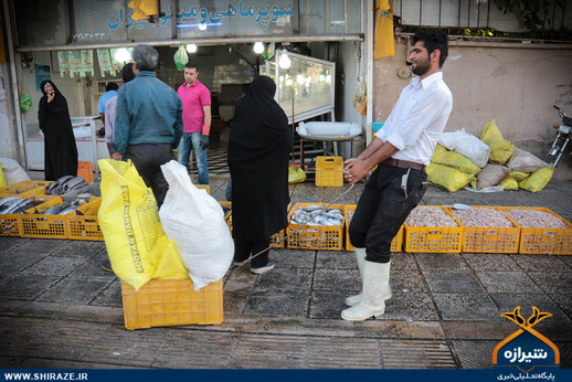 بازار ماهی فروشان در شیراز