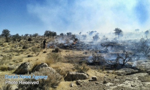 آتش سوزی صدها هکتاری ارتفاعات داراب