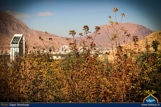 تبسم پاییز به طبیعت شیراز