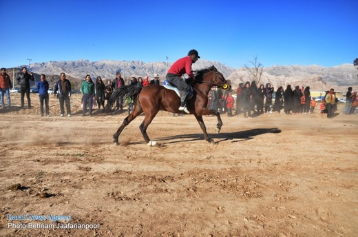 برگزاری مسابقه سوارکاری در داراب