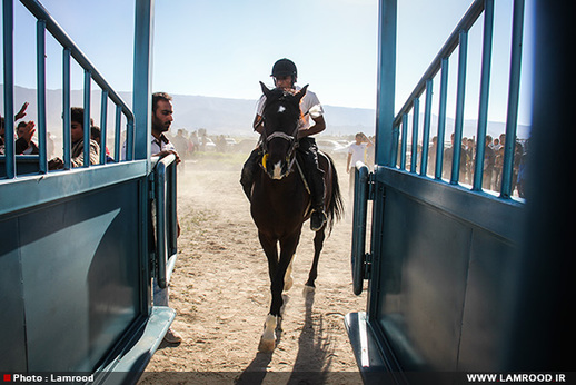 مسابقات اسب سواری در لامرد