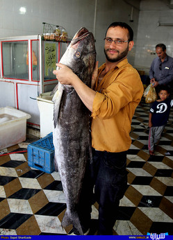 بازار ماهی فروشان شیراز