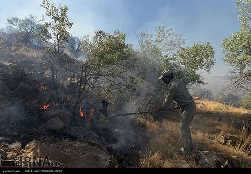آتش سوزی در جنگل‌های پاسارگاد 