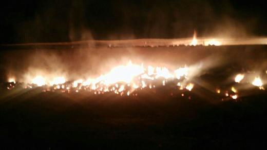 آتش سوزی گسترده یک انبار علوفه در شهر ششده فسا